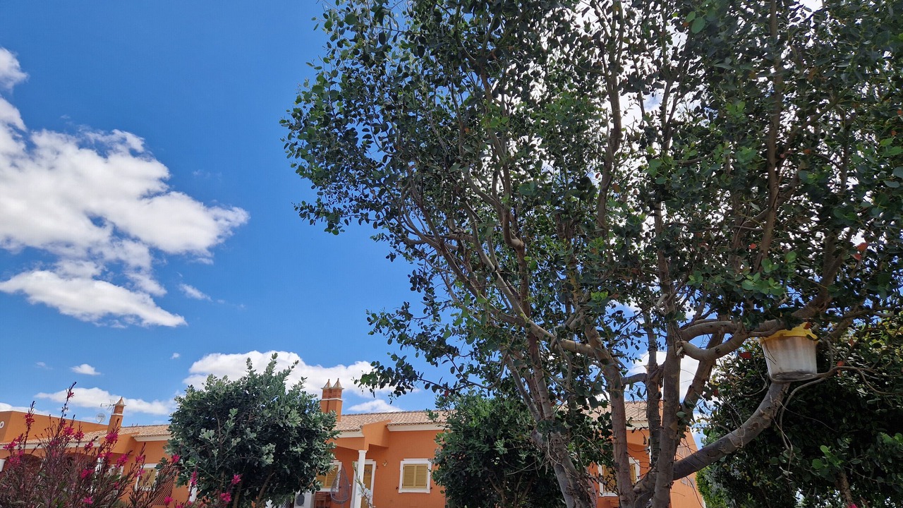 Photo of Outdoor in Aldeia dos Palheiros