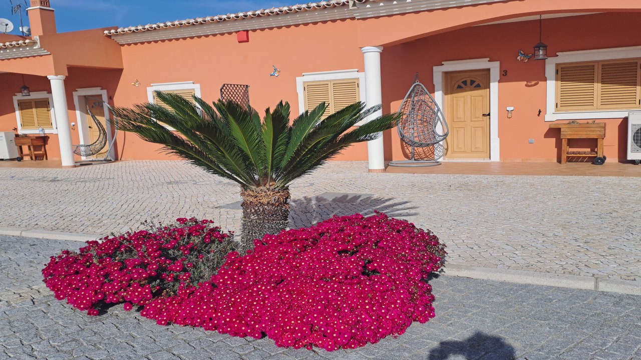 Photo of Patio Balcony in Aldeia dos Palheiros