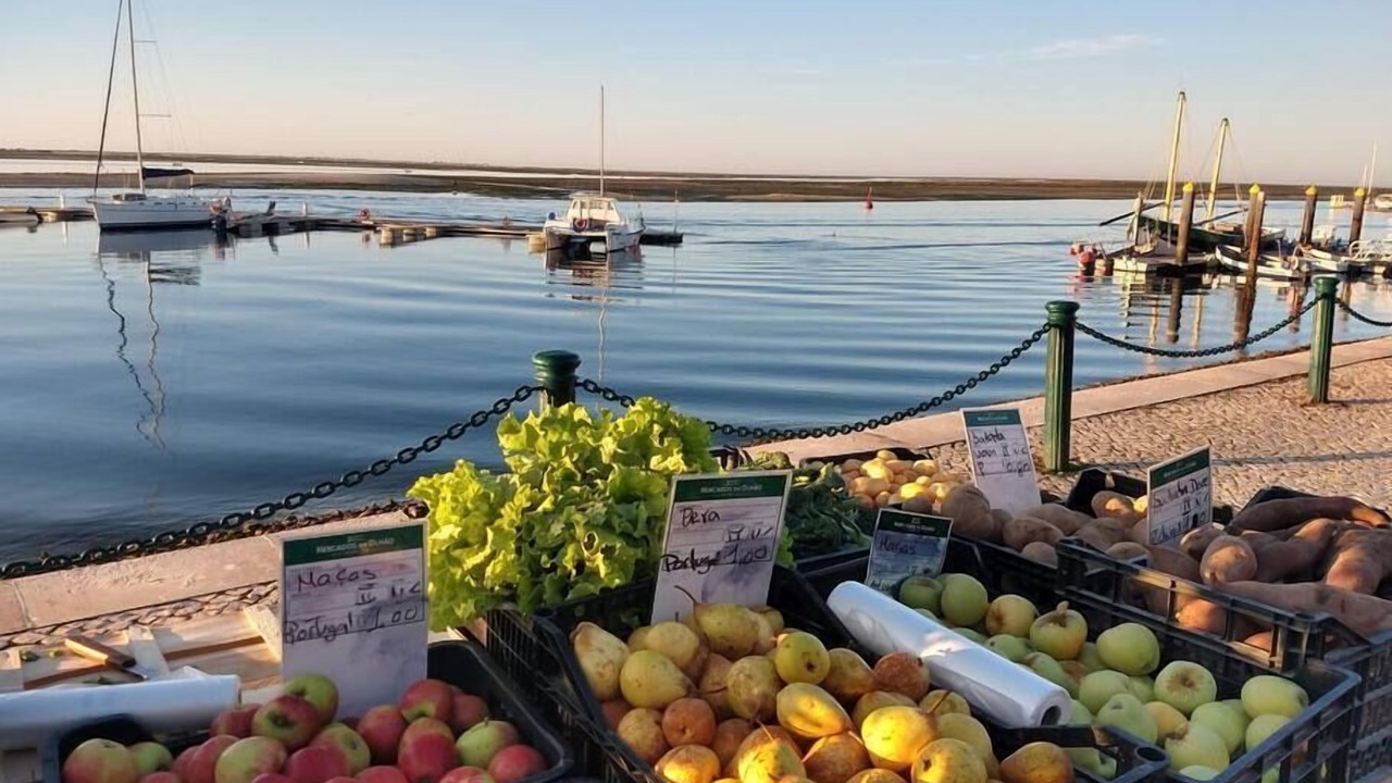 Photo of Others in Olhao