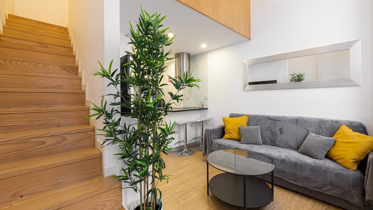 Photo of Livingroom in Cedofeita