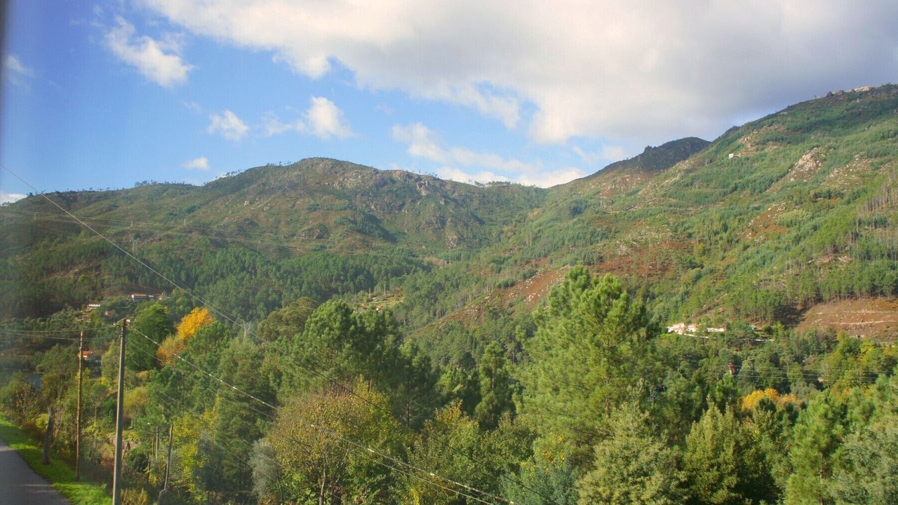 Photo of Others in Vilar da Veiga