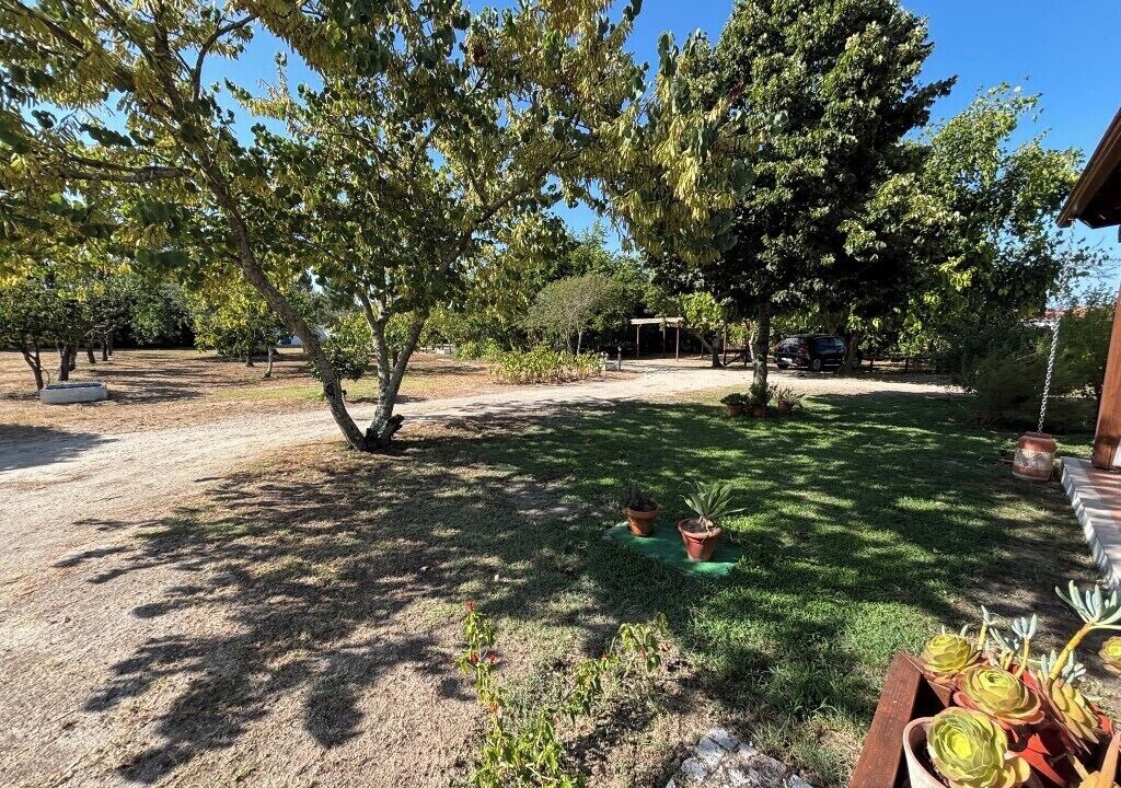 Photo of Outdoor in Canha