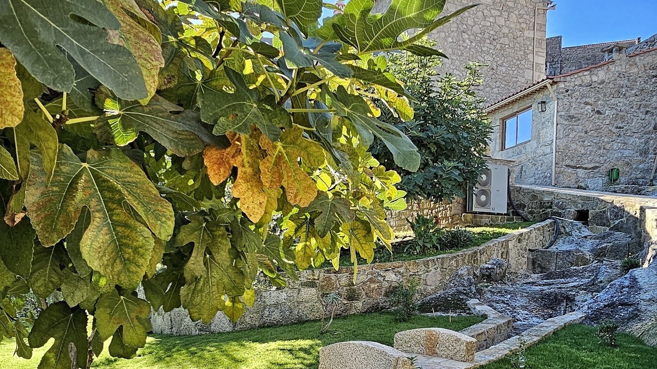 Photo of Outdoor in Monsanto