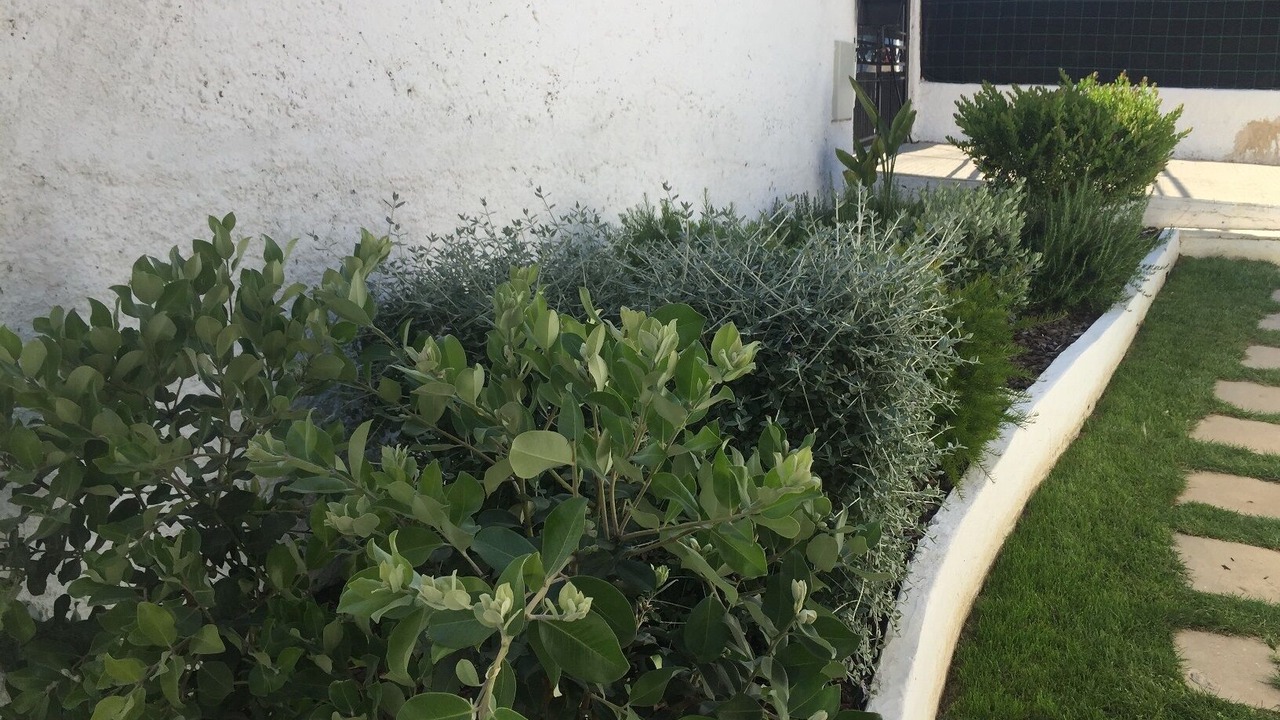Photo of Outdoor in Santa Eulalia
