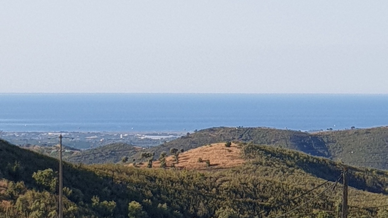 Photo of Others in Fonte do Bispo