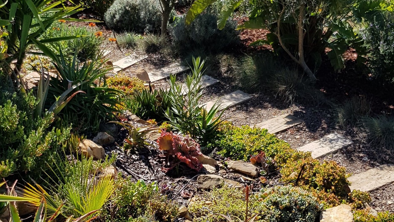 Photo of Outdoor in Fonte do Bispo