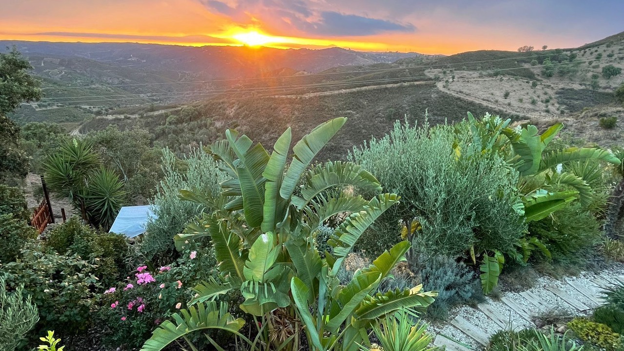 Photo of Outdoor in Fonte do Bispo