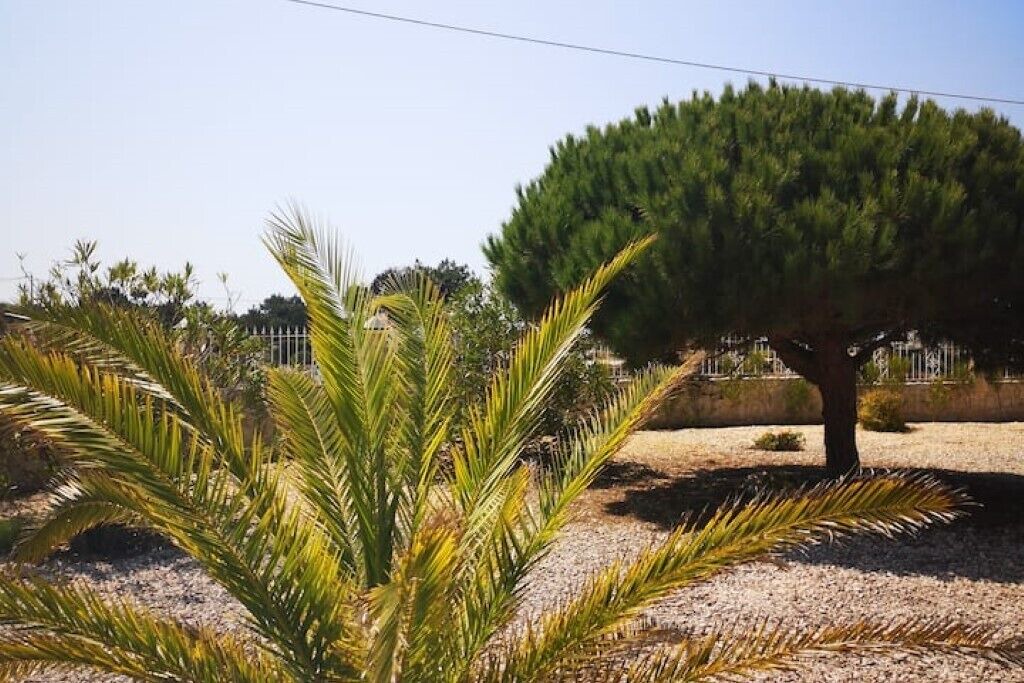 Photo of Outdoor in Aljezur