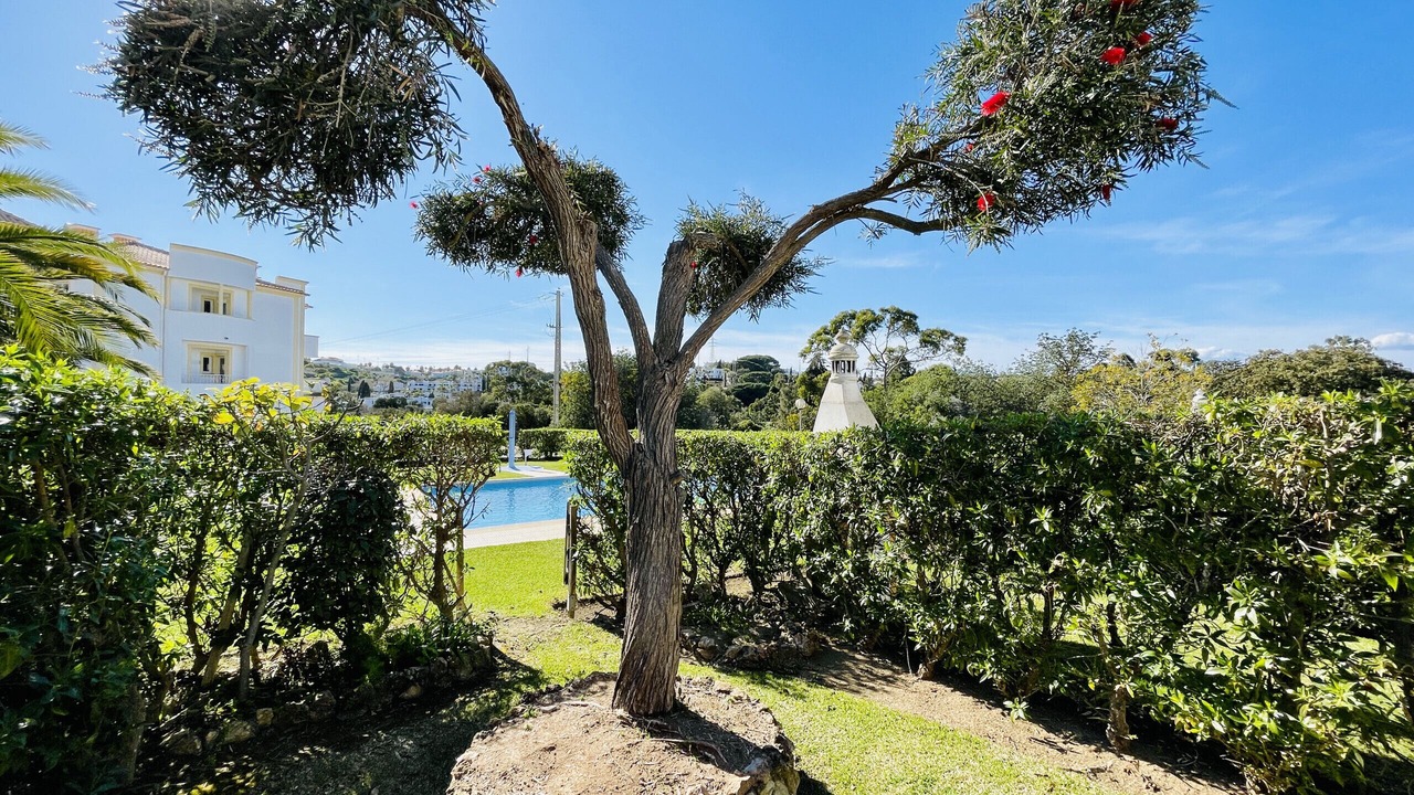 Photo of Outdoor in Albufeira
