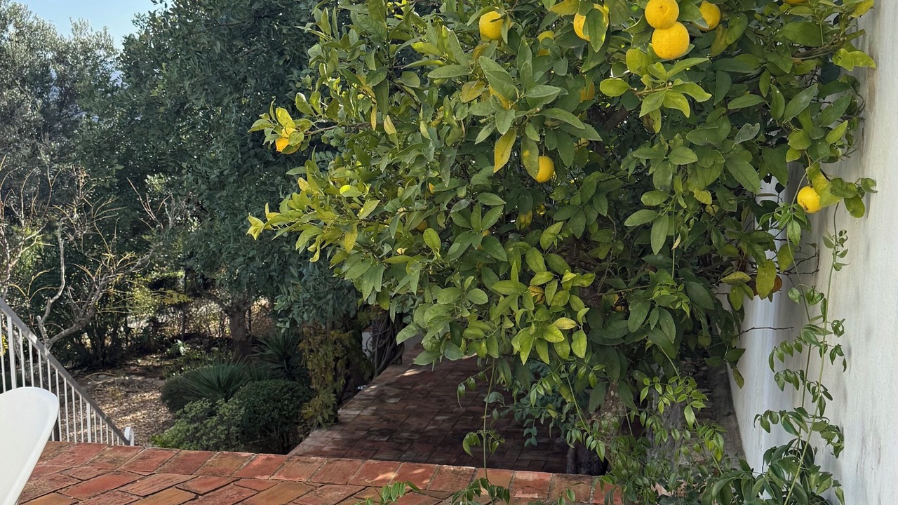 Photo of Patio Balcony in Alfeicao