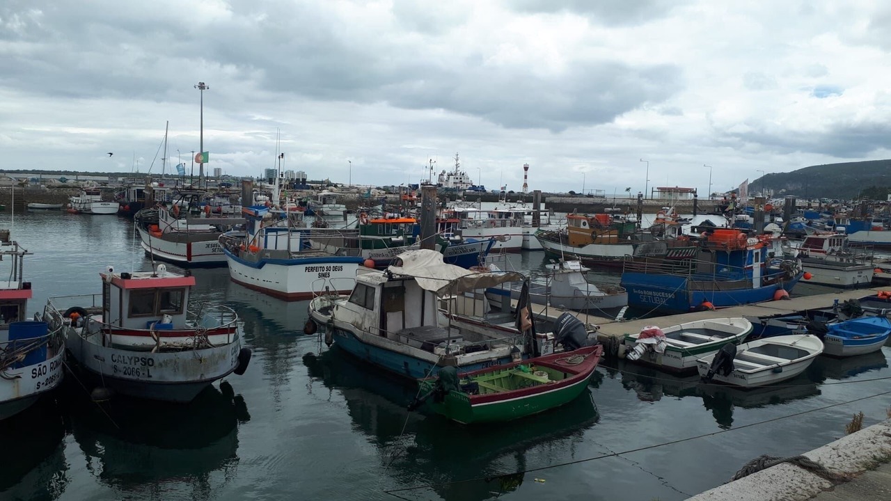 Photo of Others in Setubal