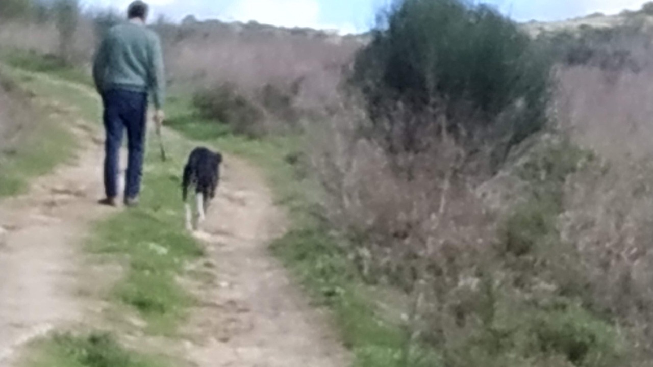 Photo of Others in Setubal
