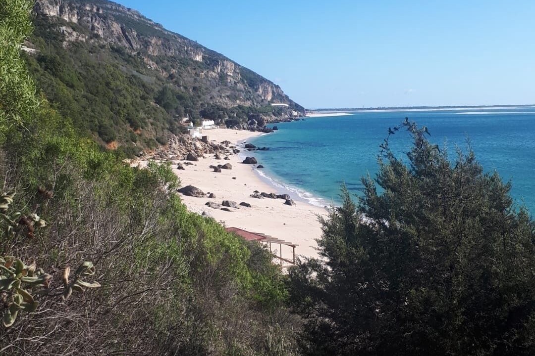 Photo of Others in Setubal