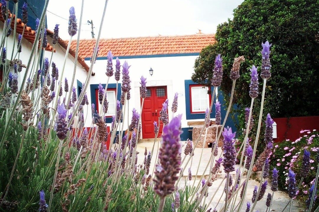Photo of Outdoor in Setubal