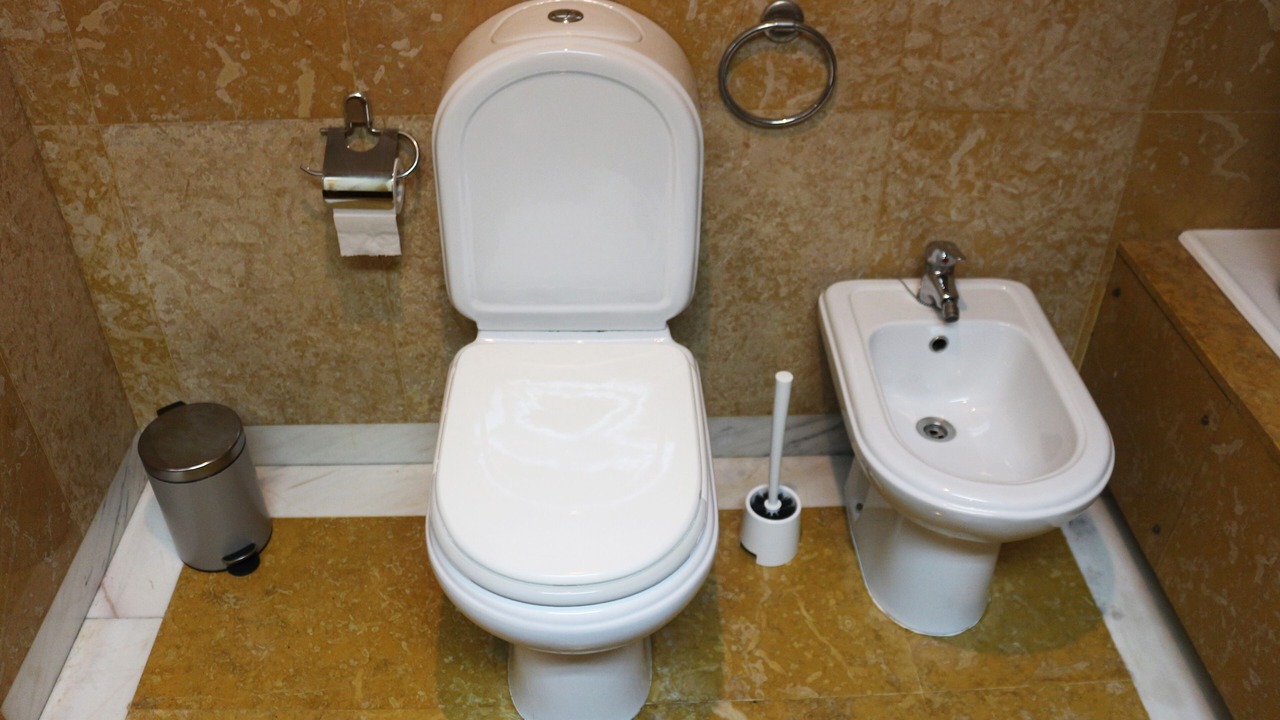 Photo of Bathroom in Leixões