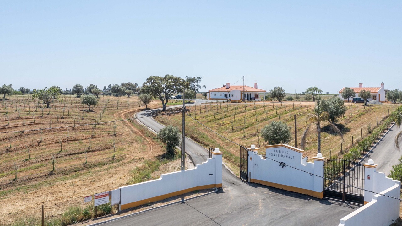 Photo of Others in Ferreira do Alentejo