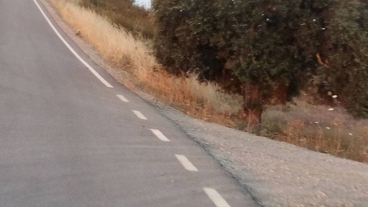 Photo of Others in Vaqueiros
