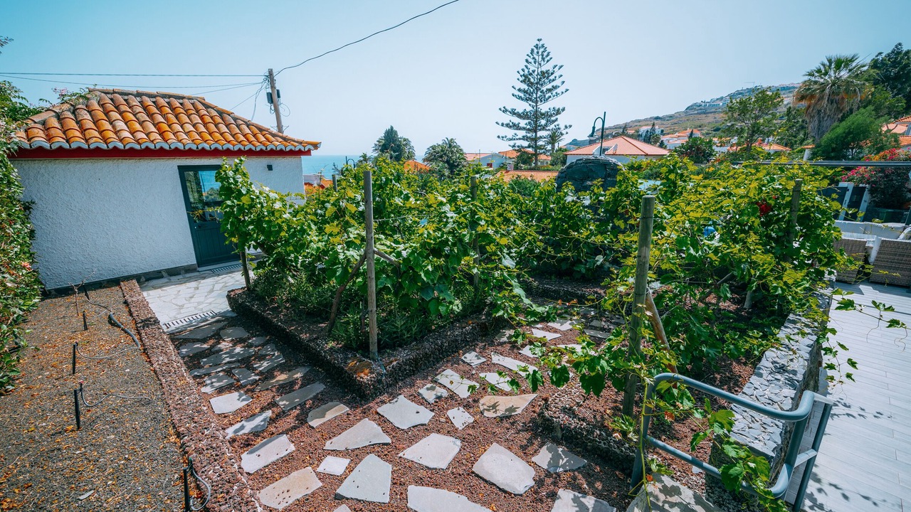 Photo of Outdoor in Canico