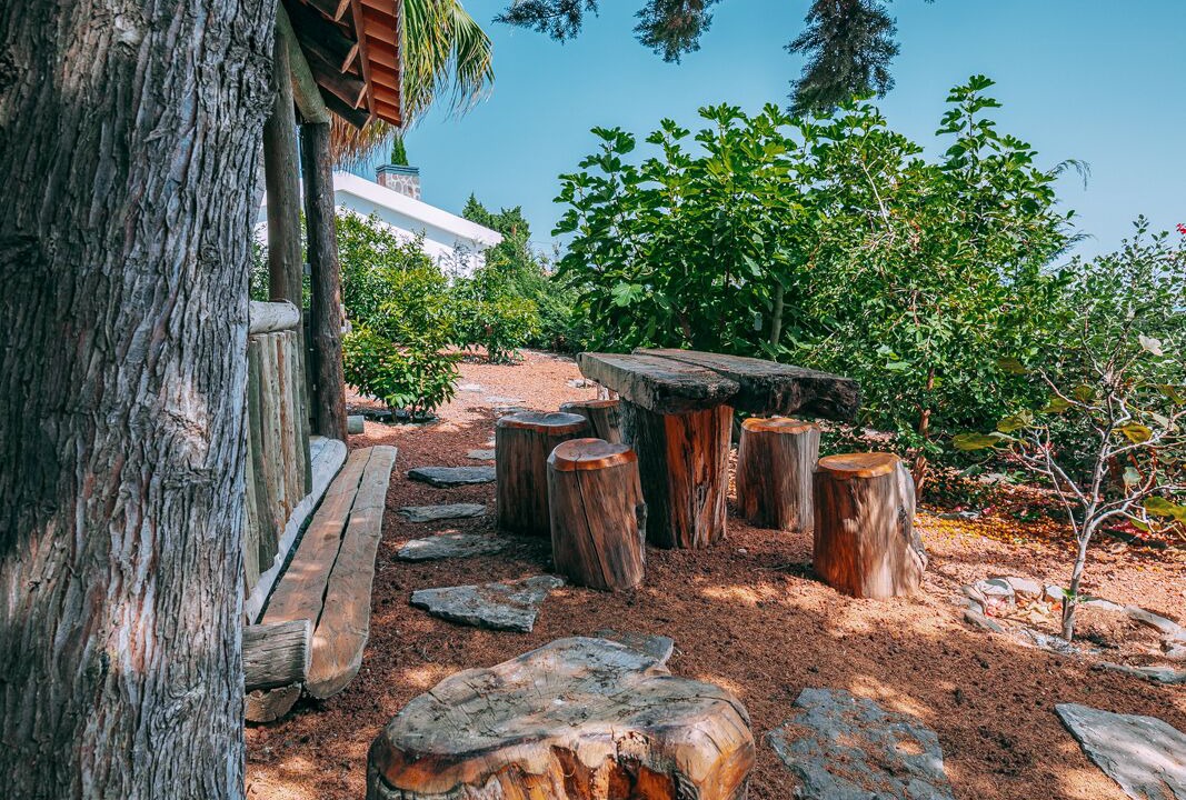 Photo of Outdoor in Canico