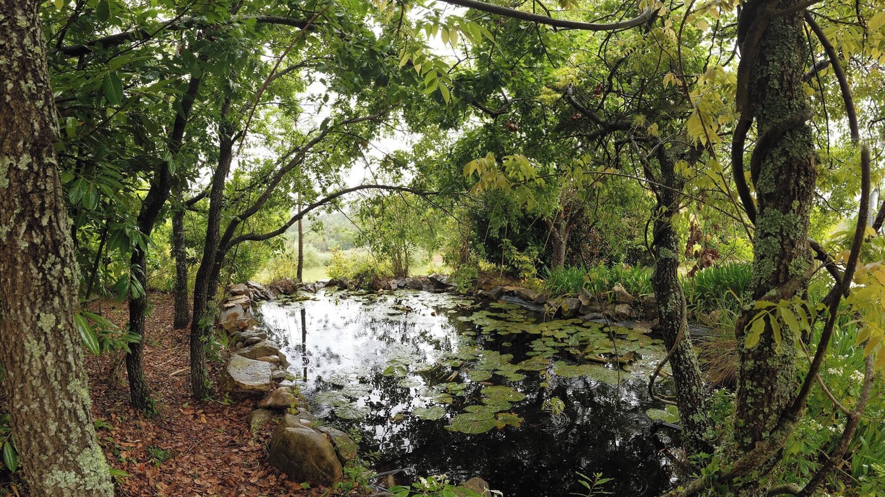 Photo of Outdoor in Camparca