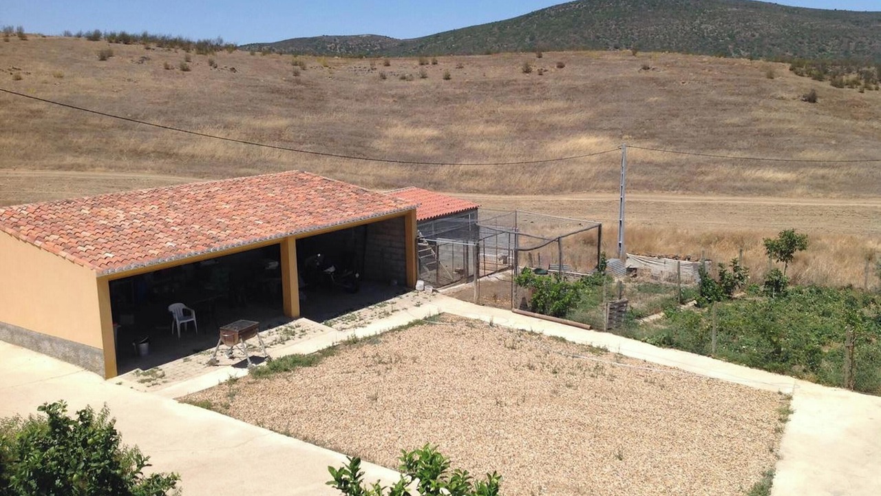 Photo of Others in Mertola