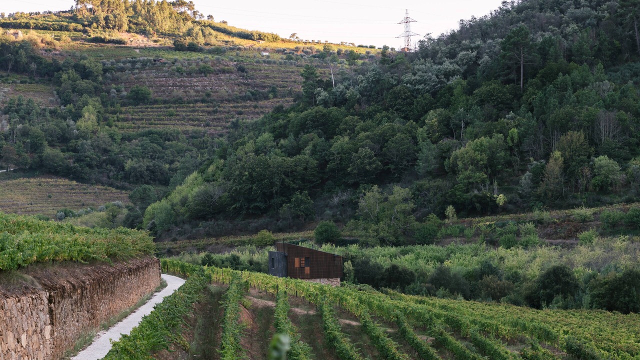 Photo of Others in Lamego