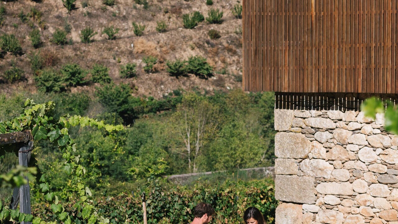 Photo of Outdoor in Lamego
