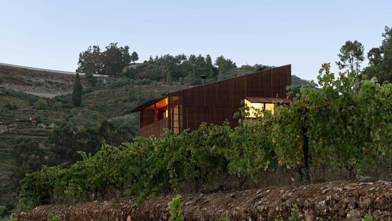 Photo of Outdoor in Lamego