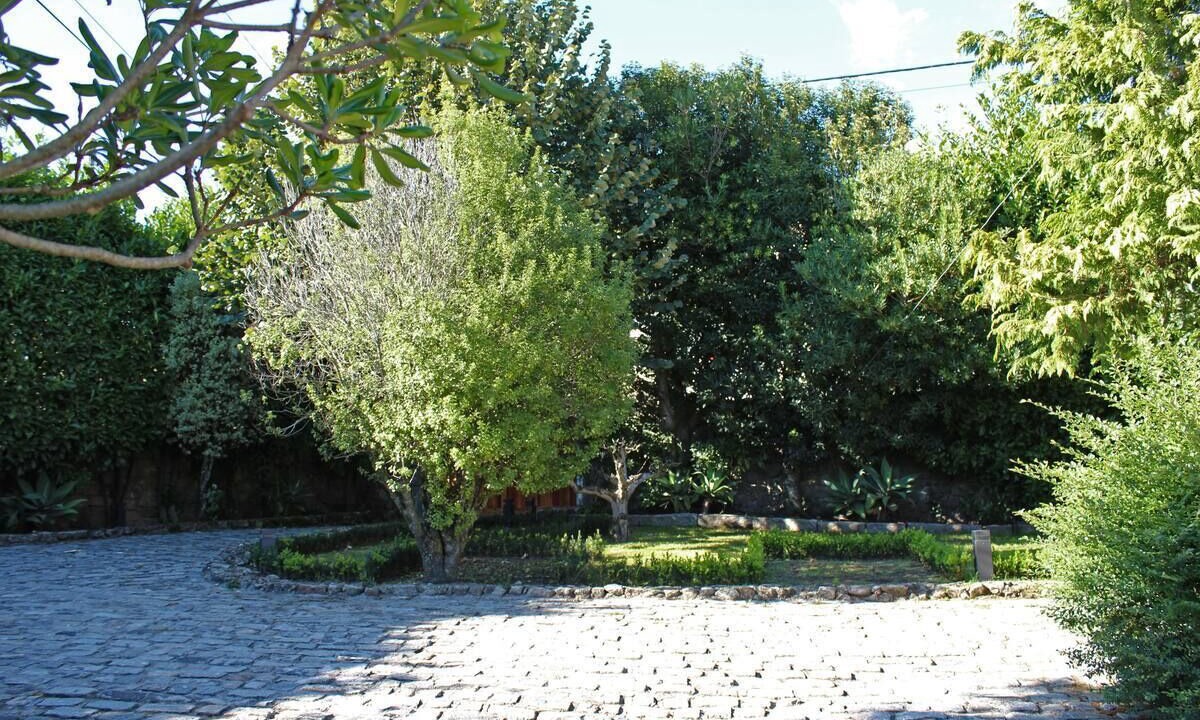 Photo of Outdoor in Santo Tirso
