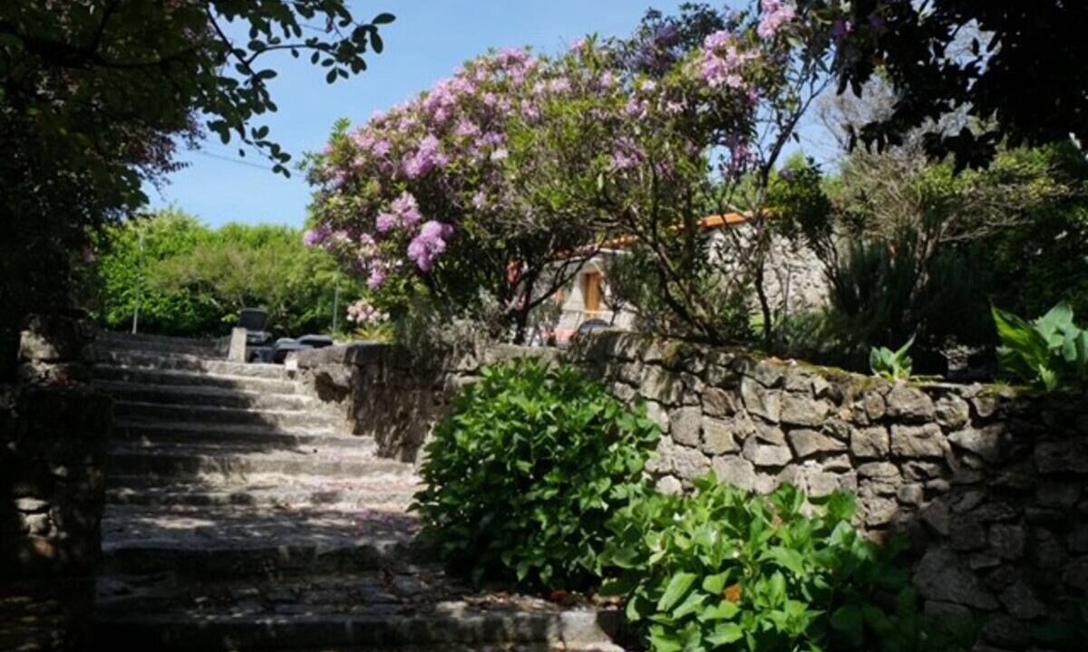 Photo of Outdoor in Santo Tirso