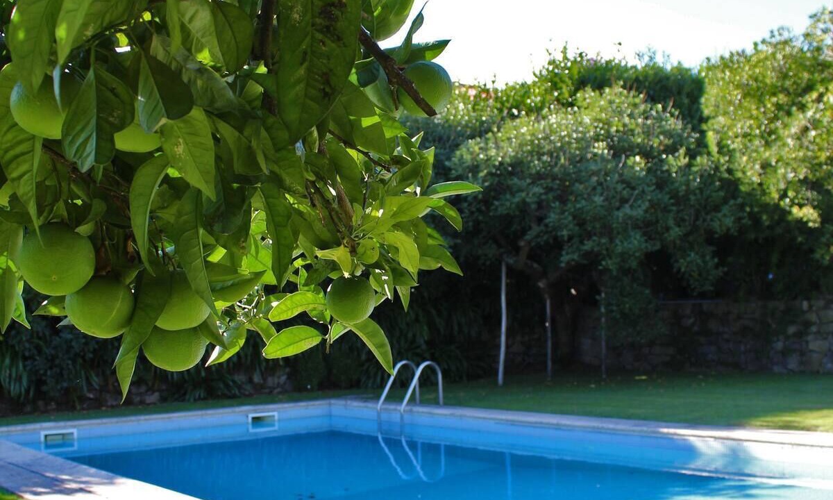 Photo of Outdoor in Santo Tirso