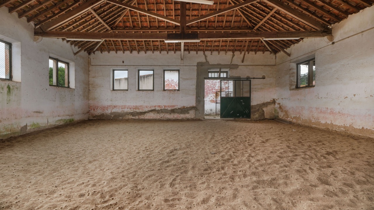 Photo of Others in Capelas