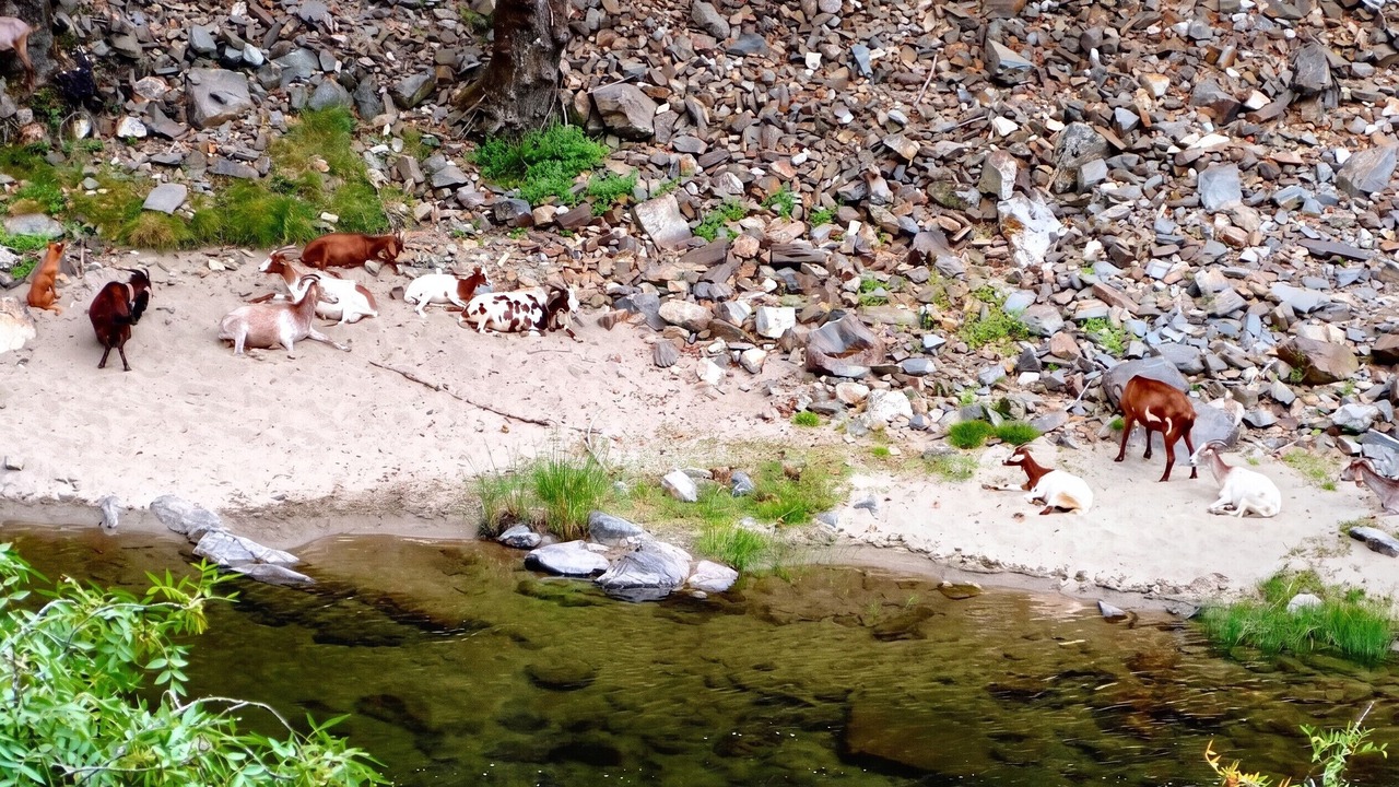 Photo of Outdoor in Castro Daire