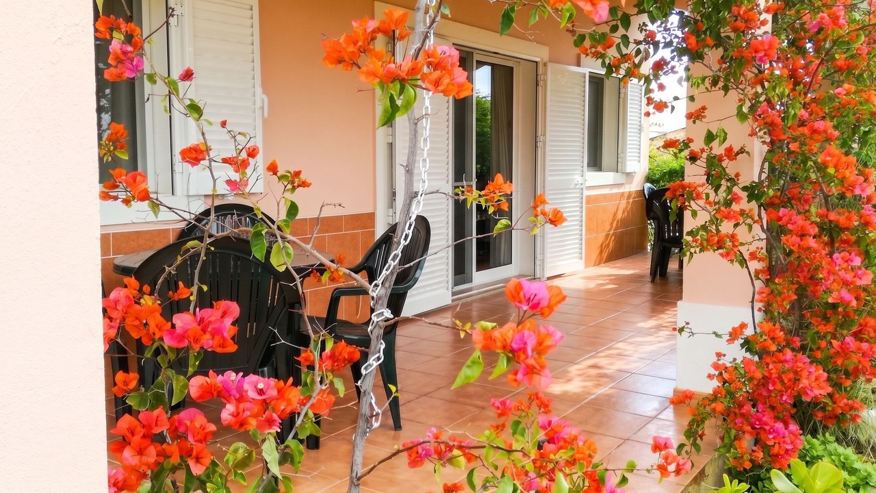 Photo of Outdoor in Loule