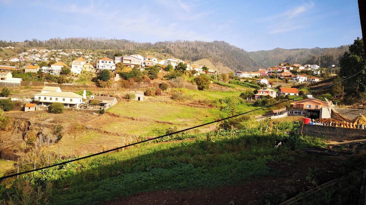 Photo of Others in Estrela da Calheta