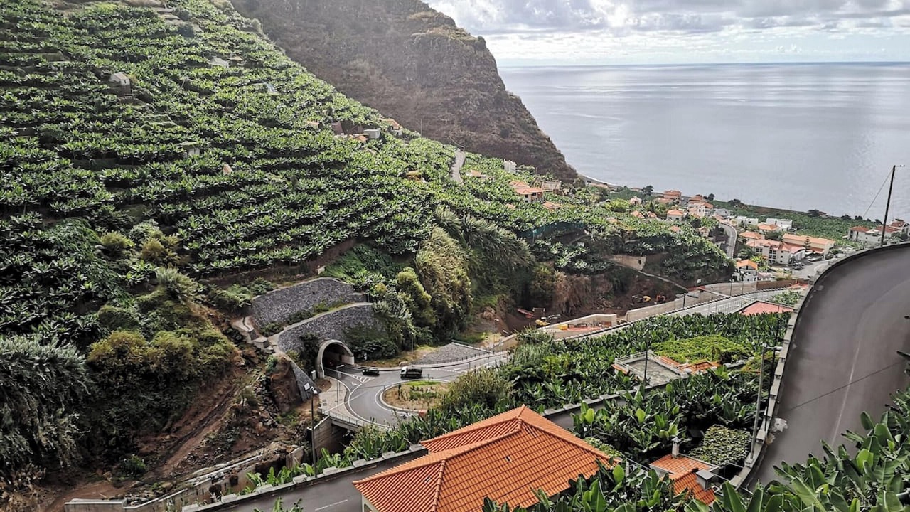 Photo of Others in Estrela da Calheta