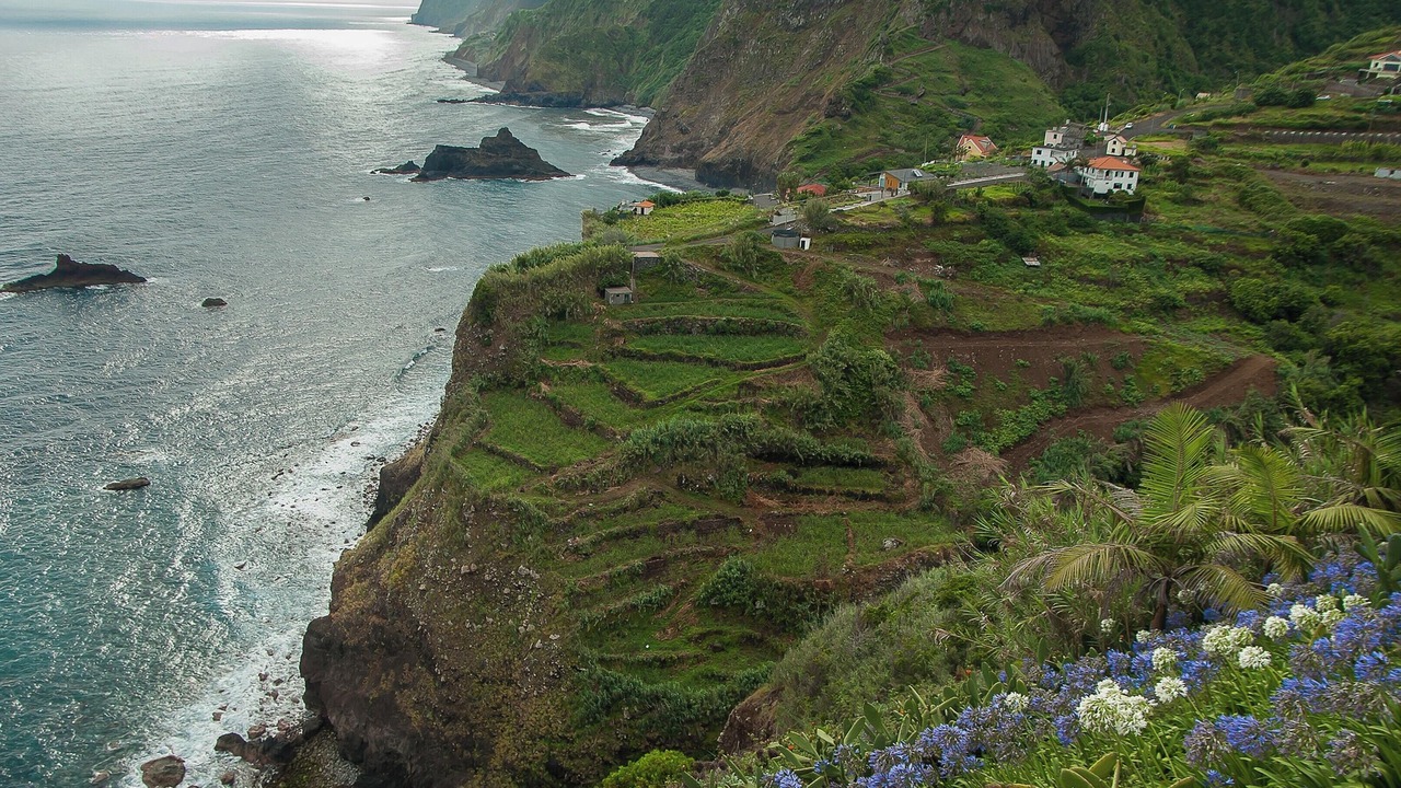 Photo of Others in Canhas