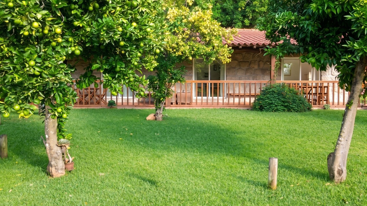 Photo of Outdoor in Canicada