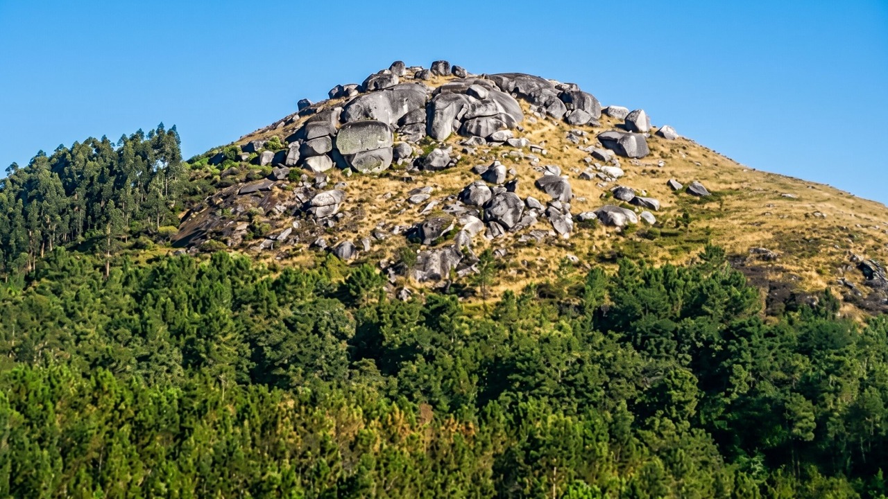 Photo of Others in Canicada