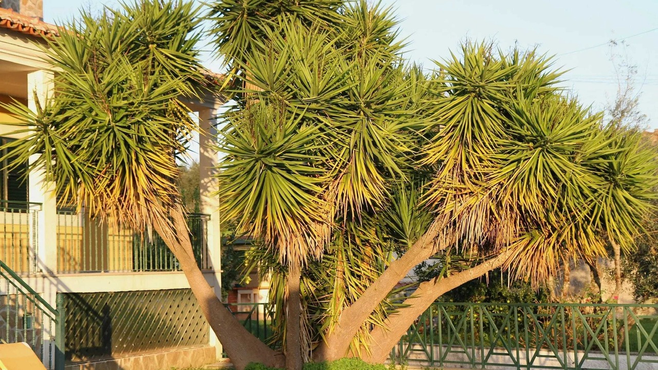 Photo of Outdoor in Vilar da Mo