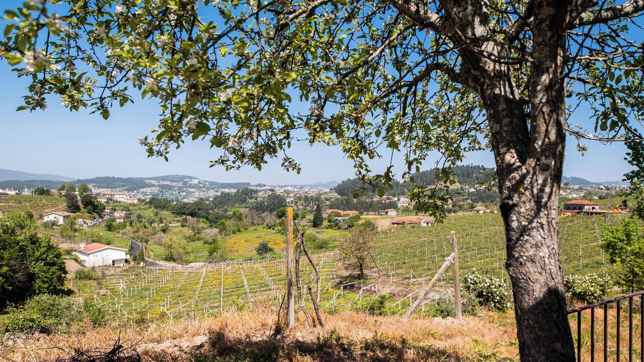 Photo of Others in Castelo de Paiva