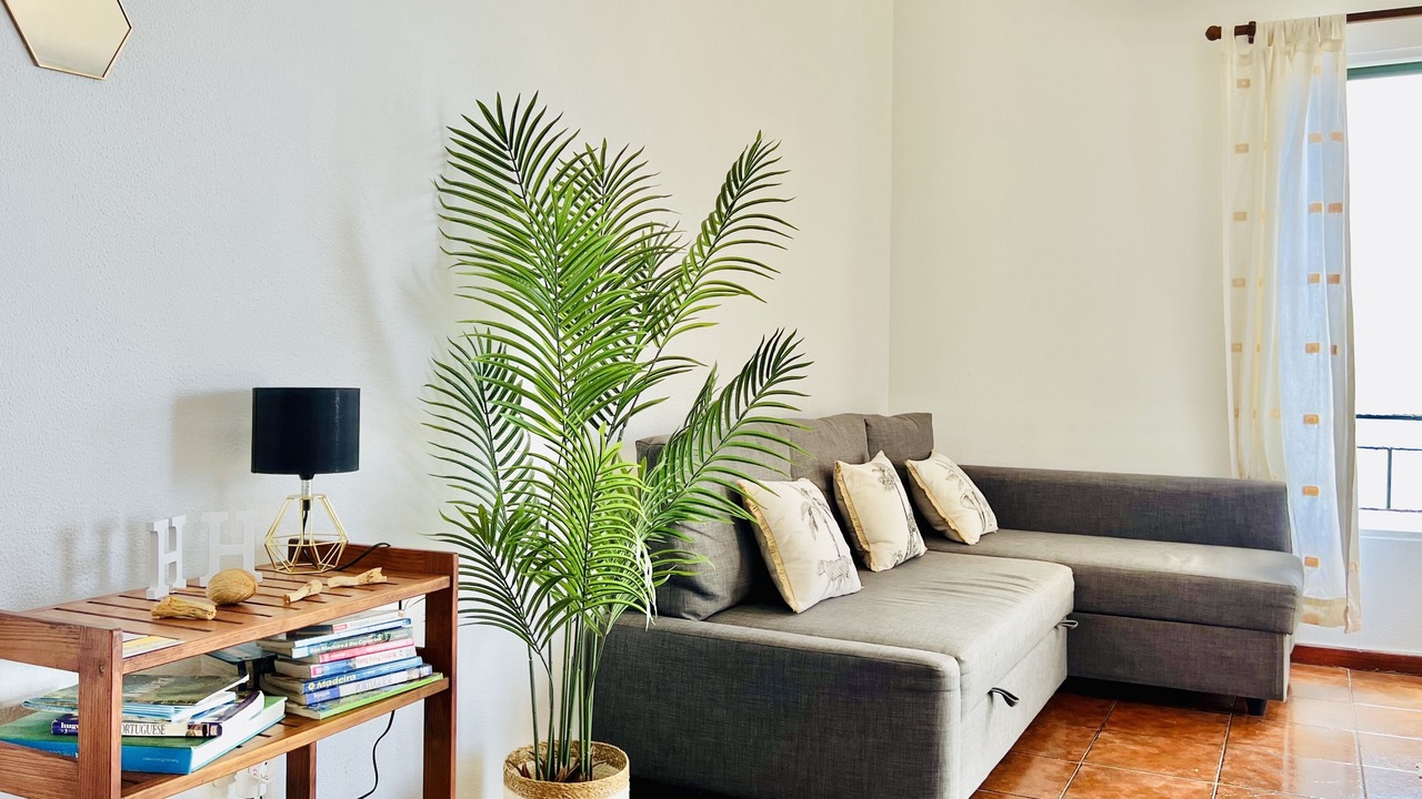 Photo of Livingroom in Ponta do Sol