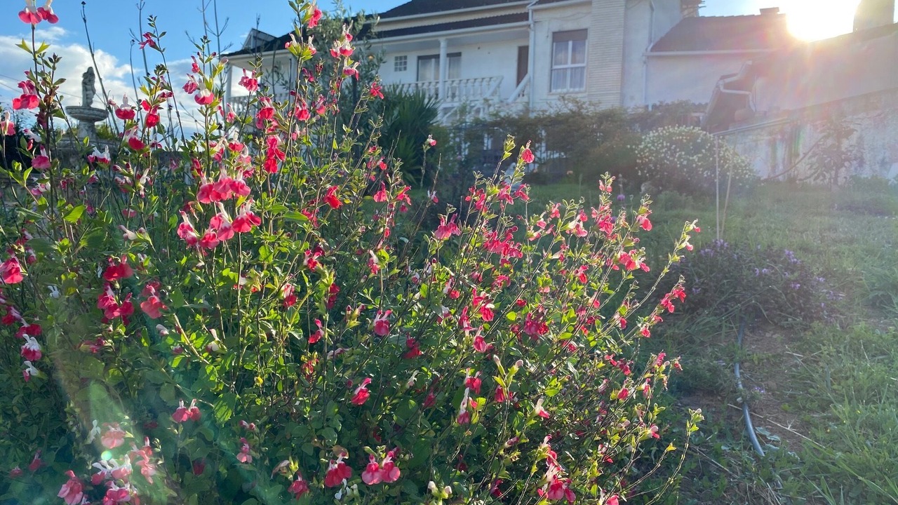 Photo of Outdoor in Pedrogao Grande
