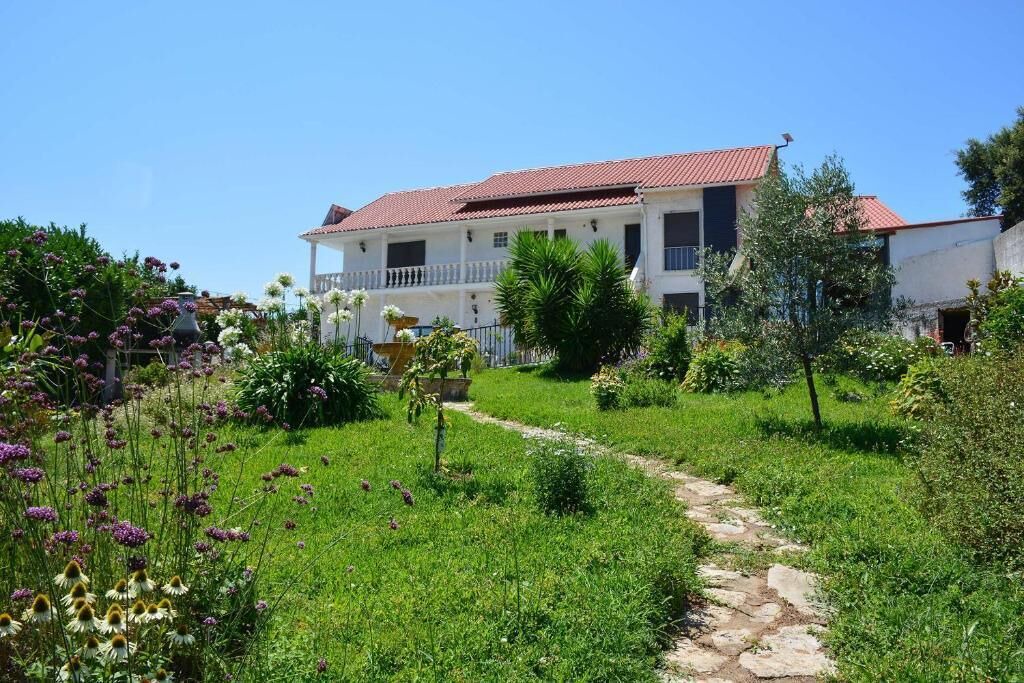 Photo of Outdoor in Pedrogao Grande
