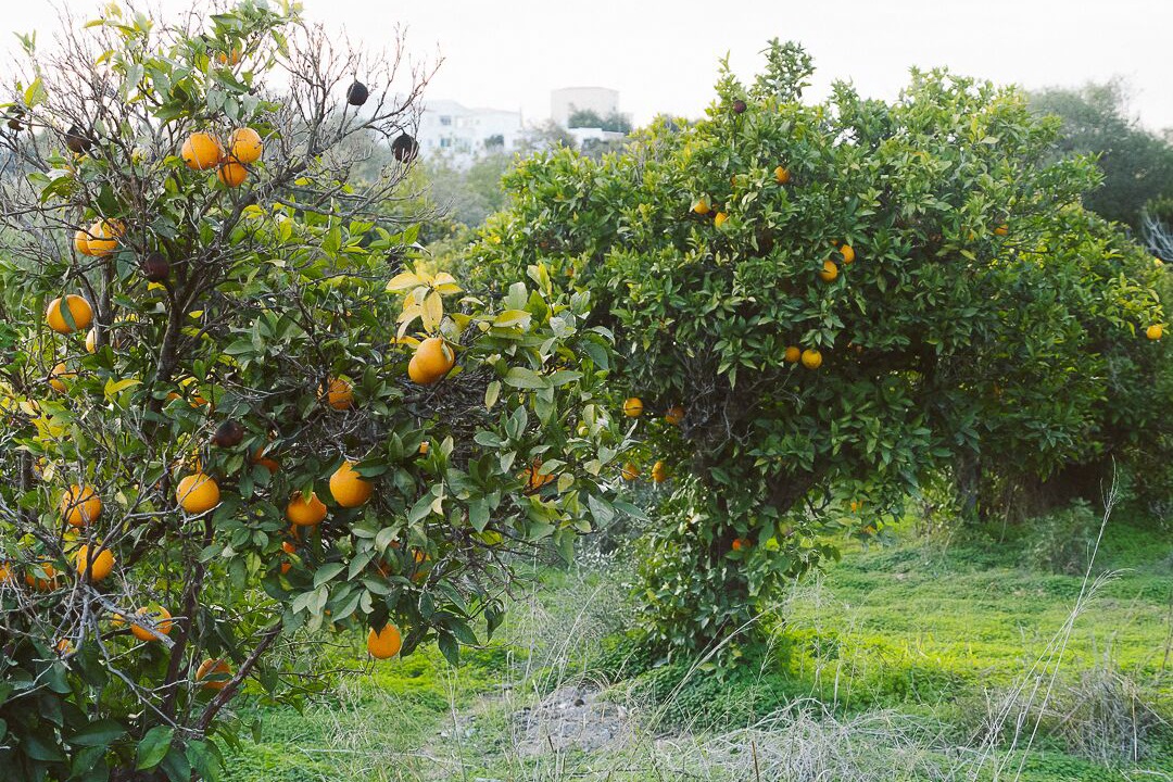 Photo of Outdoor in Pechao