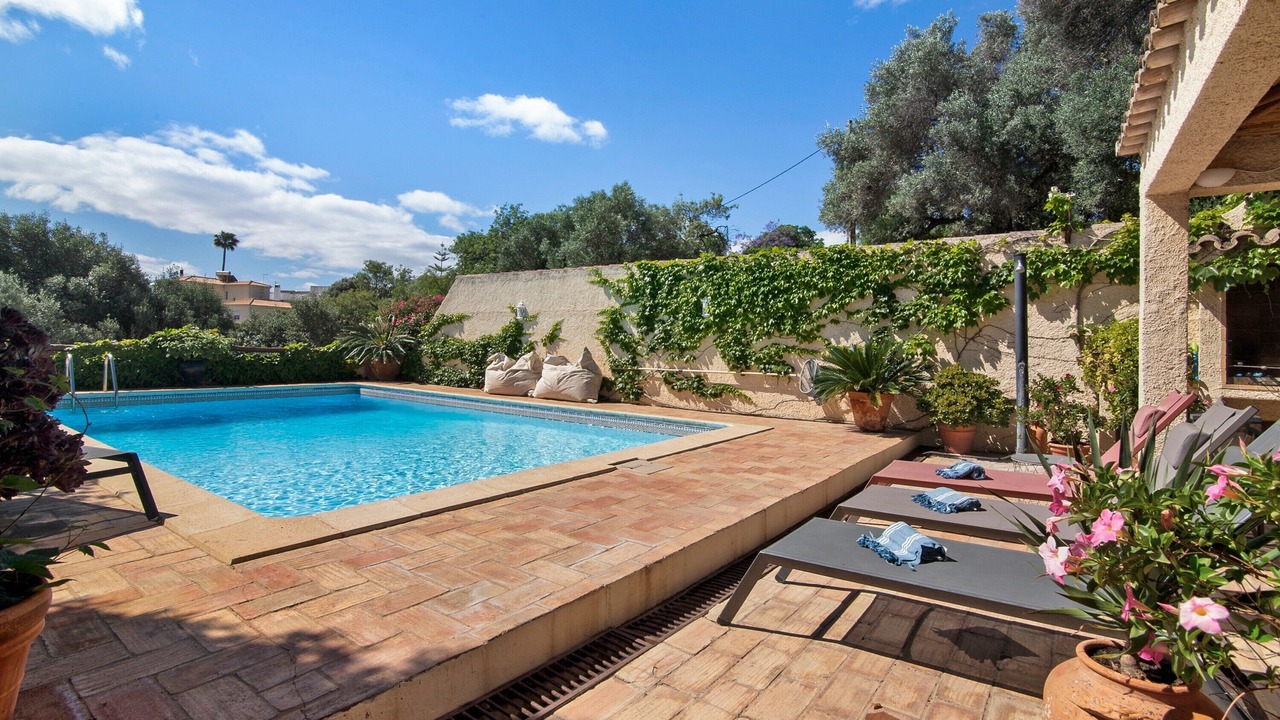 Photo of Outdoor in Vale Judeu