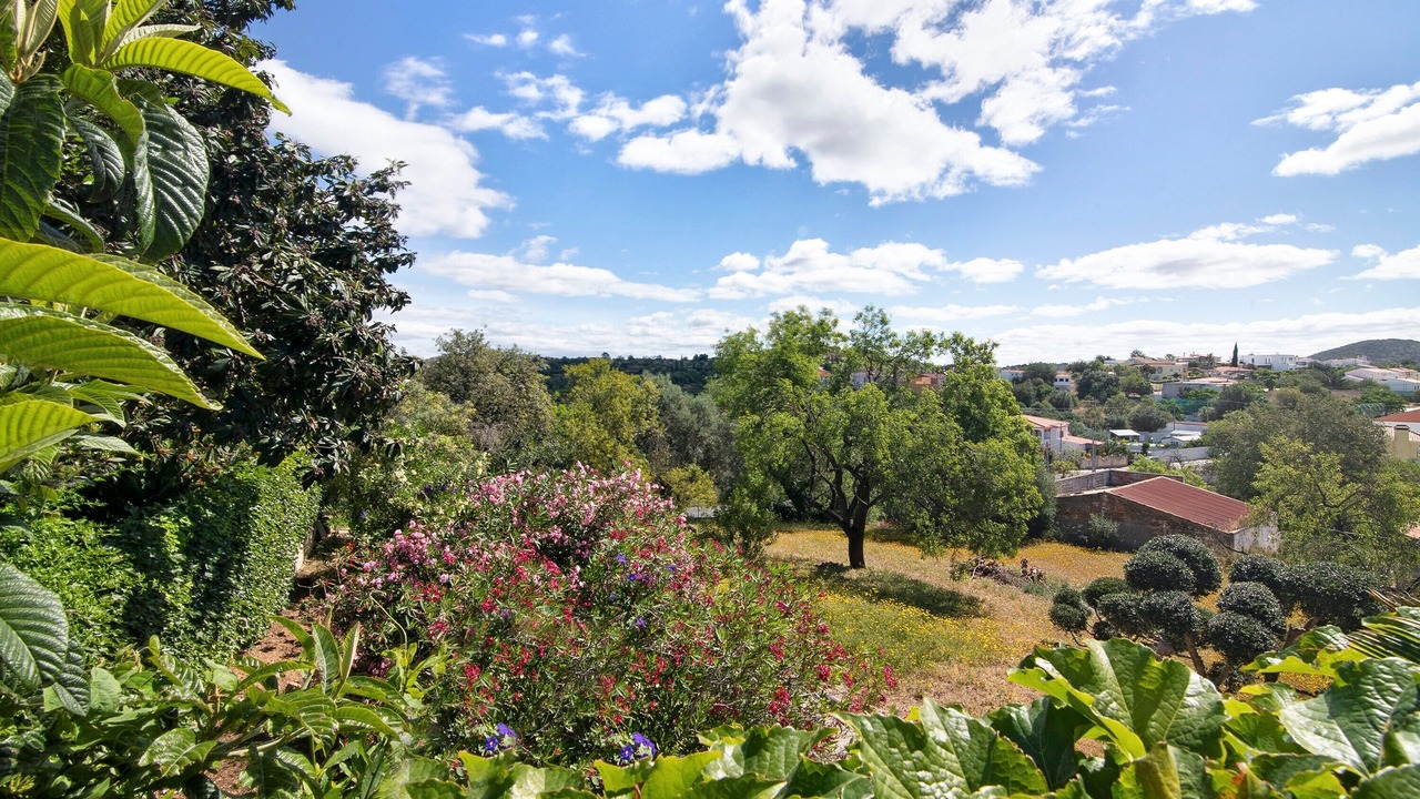 Photo of Outdoor in Vale Judeu