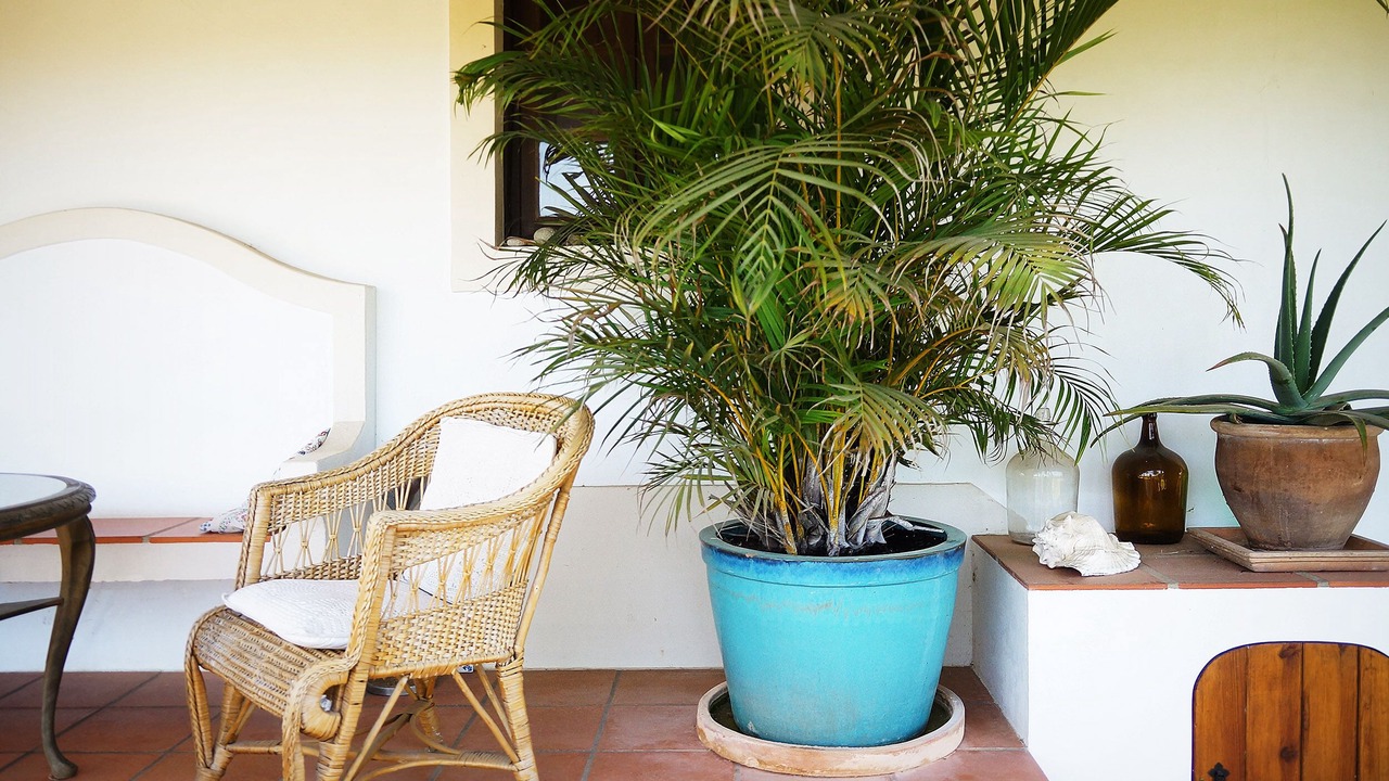 Photo of Patio Balcony in Sao Luis