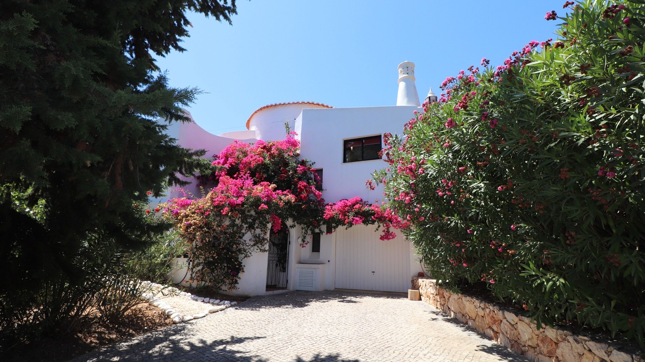 Photo of Outdoor in Mato Serrao