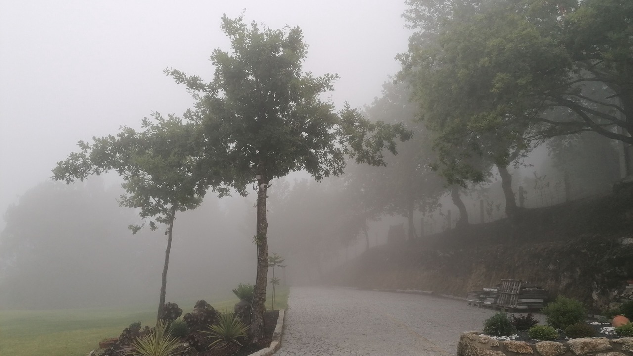Photo of Outdoor in Gondoriz
